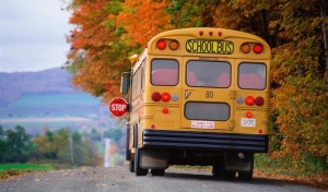 How To Choose a Student Transportation Company